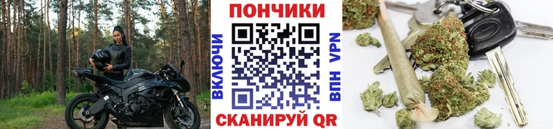 Шишки марихуана Ganja  Купить где  Богданович 